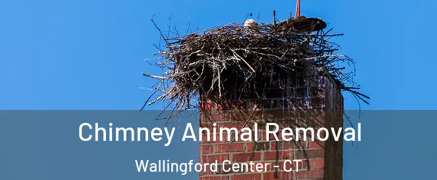  Chimney Animal Removal Wallingford Center - CT