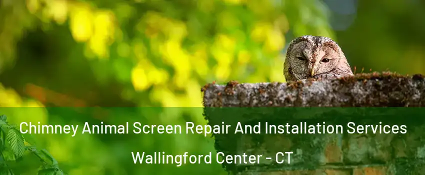  Chimney Animal Screen Repair And Installation Services Wallingford Center - CT