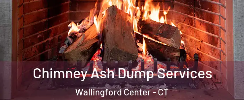 Chimney Ash Dump Services Wallingford Center - CT