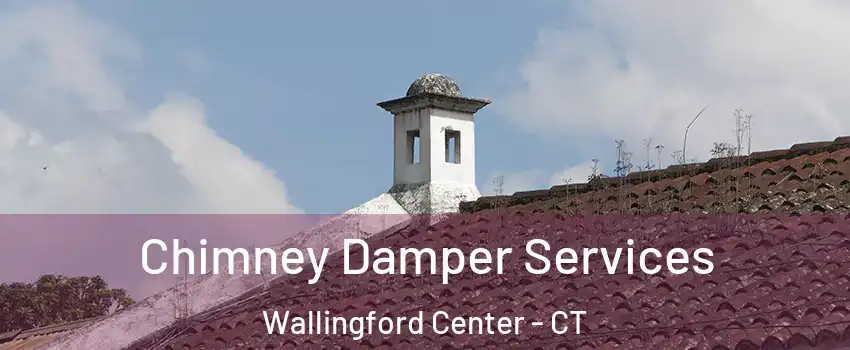  Chimney Damper Services Wallingford Center - CT