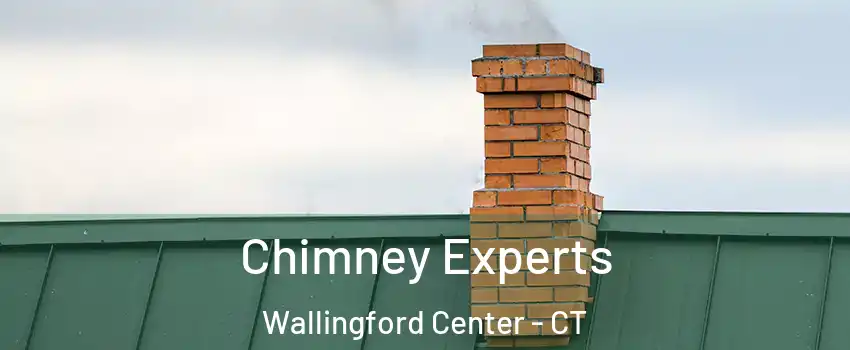  Chimney Experts Wallingford Center - CT
