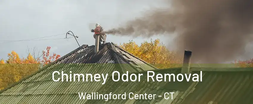  Chimney Odor Removal Wallingford Center - CT