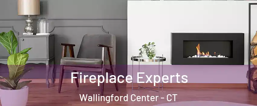  Fireplace Experts Wallingford Center - CT