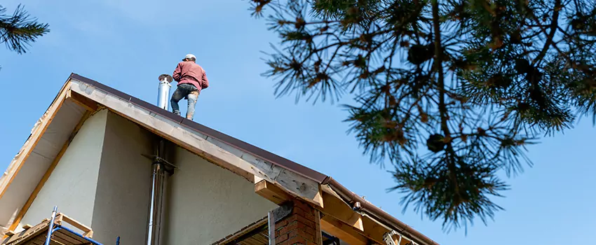 Birds Removal Contractors from Chimney in Wallingford Center, CT