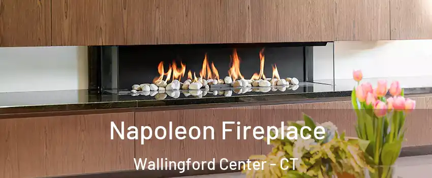  Napoleon Fireplace Wallingford Center - CT